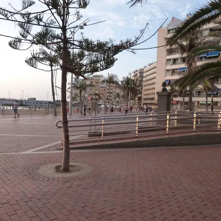 Palmeras Playa Las Palmas de Gran Canaria